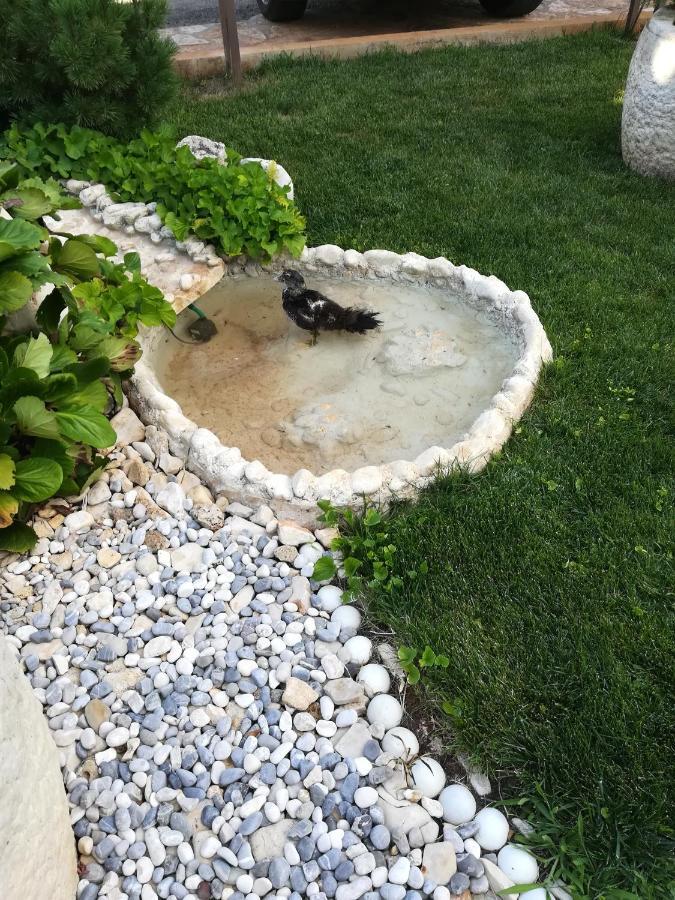Apartmani Villa Otilija Poreč Buitenkant foto