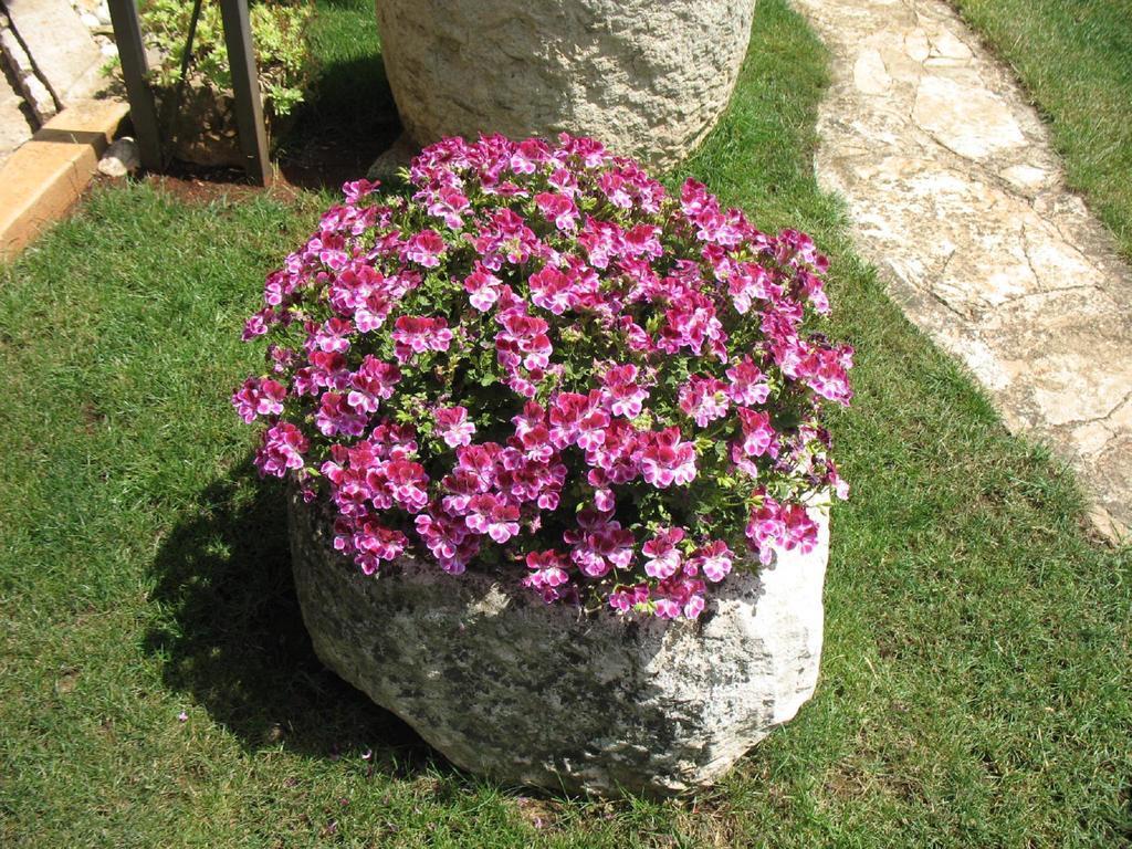 Apartmani Villa Otilija Poreč Buitenkant foto